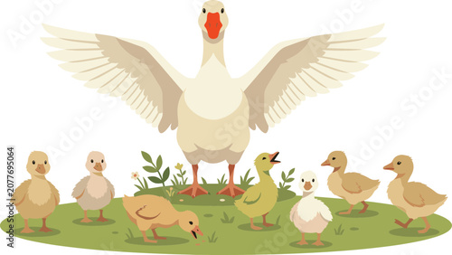 Photos Mother Goose with Open Wings Protecting Cute Little Ducklings or Goslings on Gre