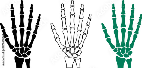 Hand_bones_silhouette_vector_202606291631.eps
