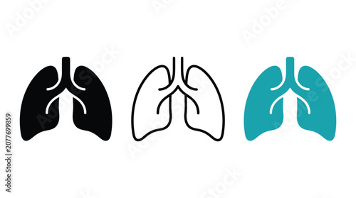 Lungs_silhouette_vector_icon_202606291610.eps
