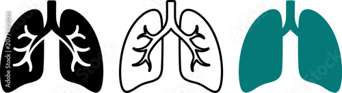 Lungs_silhouette_vector_icon_202606291612 (1).eps