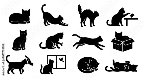 Cat Behavior and Feline Body Language Silhouette Icon Set with Loaf Stretch Zoomies and Cat Communication
