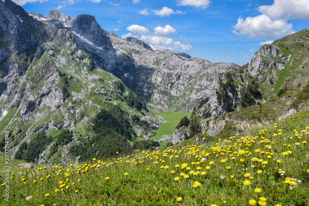 Fototapeta premium Summer Landscape of the Prokletije