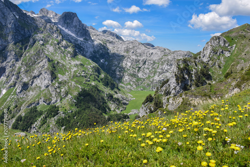 Summer Landscape of the Prokletije