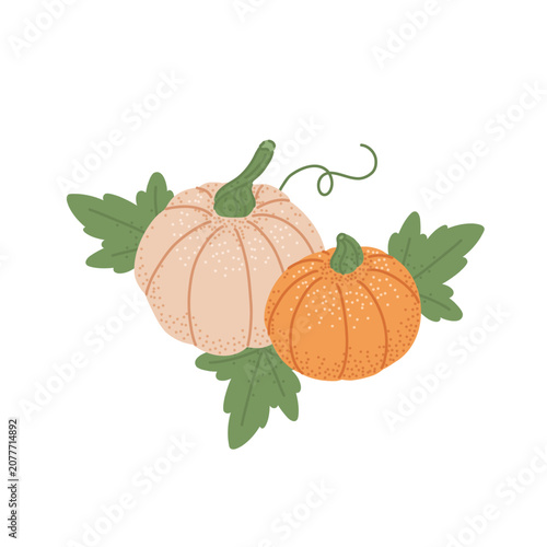 White and orange pumpkins vegetable with green leaves. Autumn holiday decorative composition, fall season decor. Flat vector isolated clipart