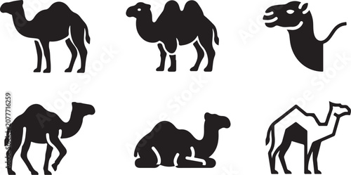 Obraz na plátně Black silhouette camels in different poses and styles Vector