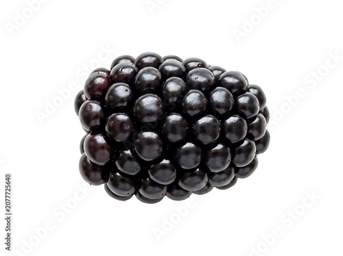 Single ripe blackberry fruit isolated on a white background close up