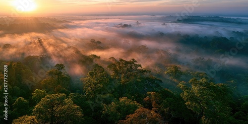 Aerial view of a misty forest at sunrise with sun rays breaking through the fog.