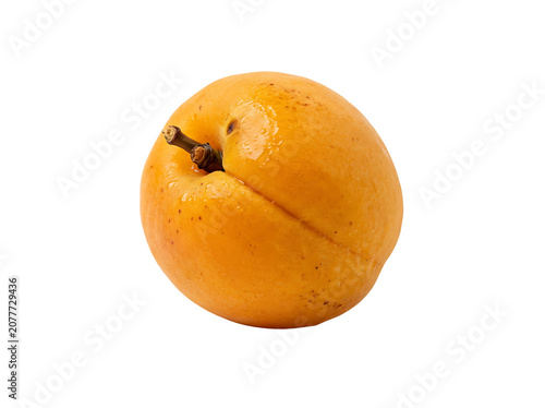 Fresh Ripe Apricot with Water Drops Isolated on White Background