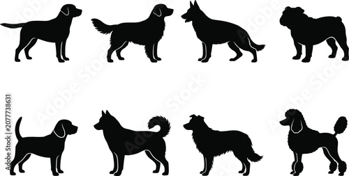 Canvastavla Dog silhouette collection illustration, various canine breeds and standing poses
