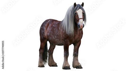 Quadro su tela Brown horse with white face and long grey mane