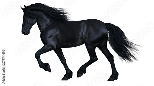 Konstfotografi Black Friesian horse with flowing mane and tail galloping