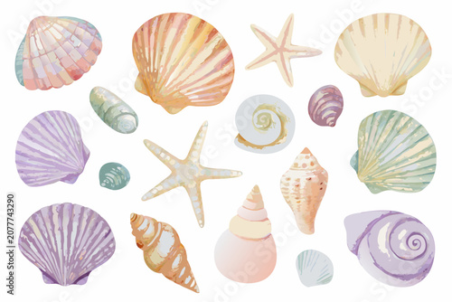 Obraz na płótnie Watercolor seashell collection with starfish and spiral shells isolated on white