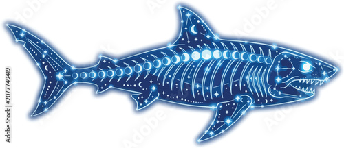 Shark skeleton glows with bright constellations in a dark cosmic night sky.