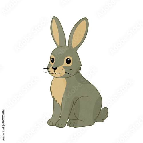 Cute bunny rabbit isolated on transparent background woodland animal illustration
