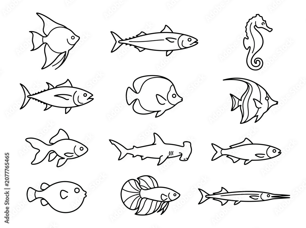Obraz premium A collection of various hand drawn fish and sea creature illustrations.