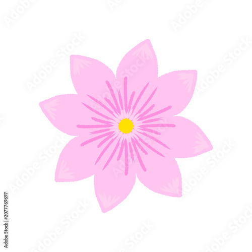 Romantic pink Flower with Botanical Elements. Floral Clipart with Elegant Blooming Flower. Spring Flower Clipart Isolated Floral Element. 
