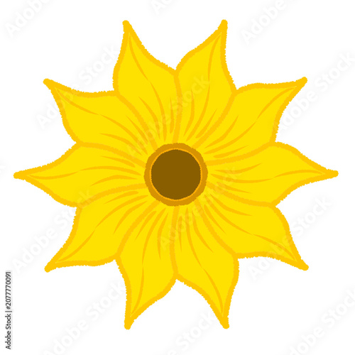 Sunflower Clipart with Transparent Background