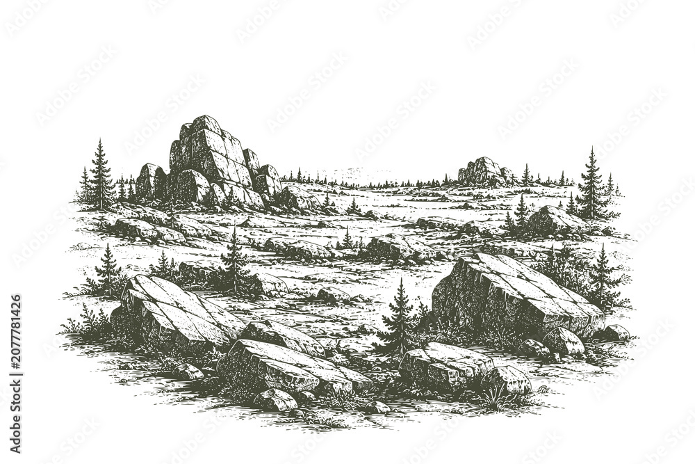 Fototapeta premium Vintage engraved rocky plain vector illustration featuring scattered boulders across an open natural landscape in detailed hand drawn etching style