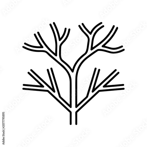 Black line drawing of branching tree.