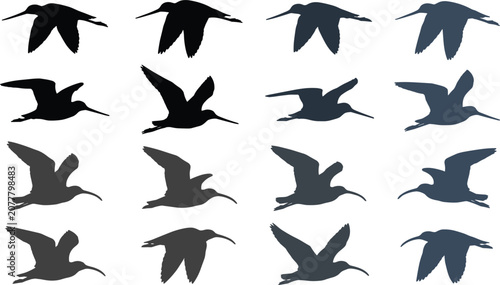 Tableau sur toile Shorebird silhouette vector set featuring flying sandpiper curlew snipe snipe co