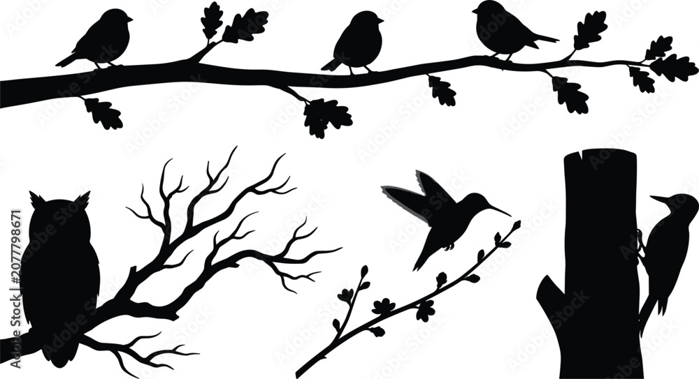 Fototapeta premium Bird silhouette vector set featuring owl hummingbird woodpecker sparrow perched on tree branches forest wildlife nature elements,