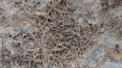 Canvastavla Natural Barite mineral crystals growing inside quartz vein in rock