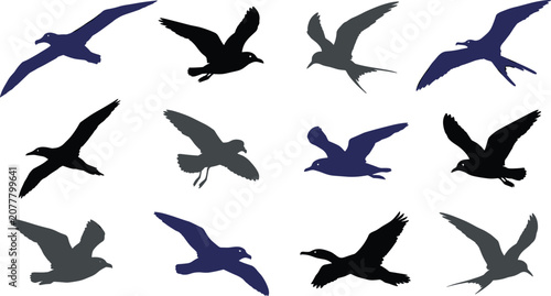 Cuadro en lienzo Seagull silhouette vector set featuring flying ocean birds albatross tern cormor