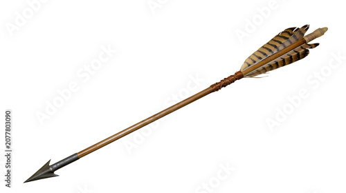 Tableau sur toile Ancient wooden arrow with metal tip and feather fletching