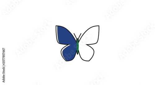 Minimalist butterfly illustration with a split design featuring blue and white elements