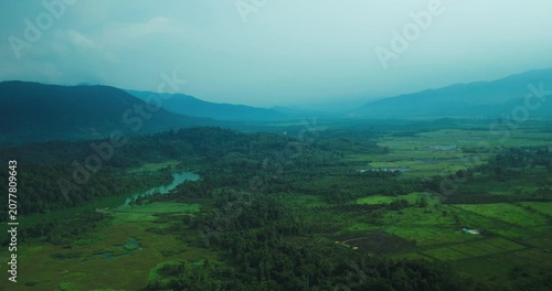 Expansive Green Valley and Tropical Forest Landscape