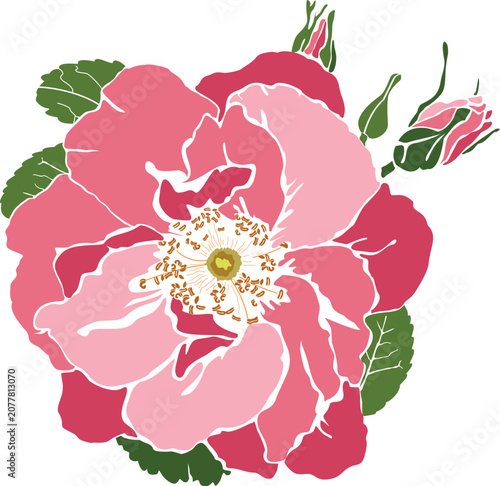 Konstfotografi Beautiful wild rose flower with buds and green leaves vector illustration