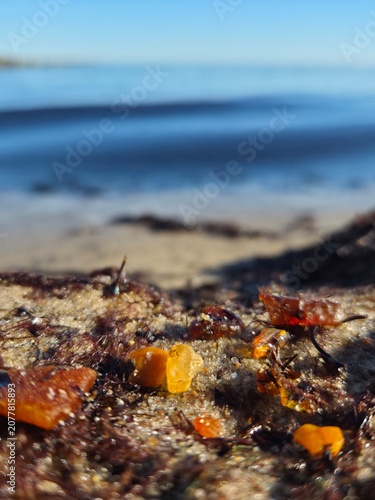 Close-up of natural amber stones found on a sandy Baltic beach after a spring storm, sunlit organic gemstone