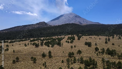 Aerial drone dolly out shot of Popocatepetl active volcano emitting a plume of ash and smoke, Mexico. Scenic view of alpine pine trees and yellow grass fields in the foreground.