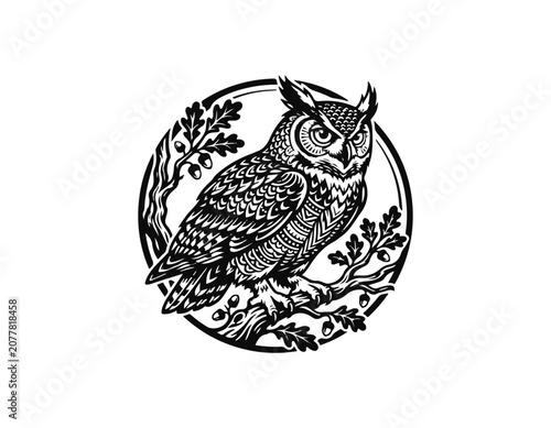 owl