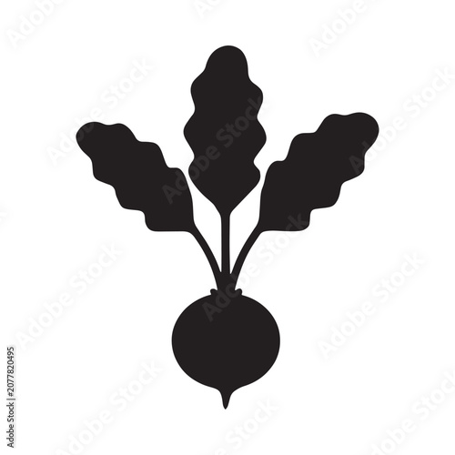 Beet silhouette against a white background simple botanical illustration