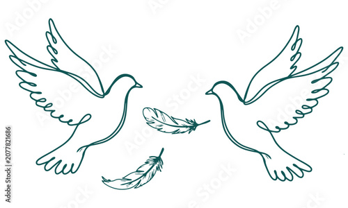 Two Doves Flying With Feathers Illustration Design.