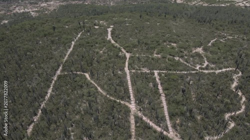 Aerial drone panoramic view of the vast semi-arid valley and columnar cactus forest at Tehuacan-Cuicatlan Biosphere Reserve in Mexico. High angle landscape of a protected desert environment.