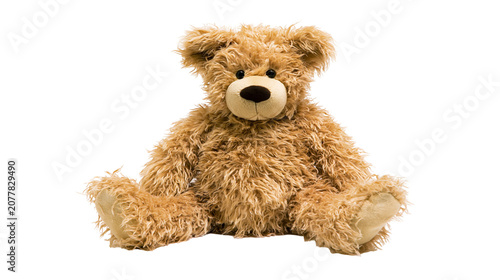 Tableau sur toile Fluffy brown teddy bear toy sitting