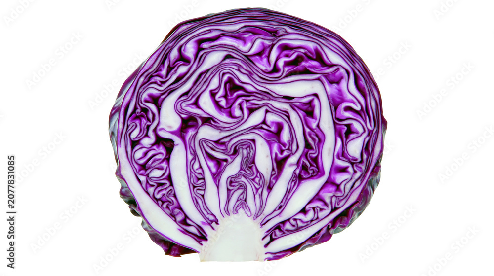 Fototapeta premium Red cabbage cross-section with vibrant purple and white layers