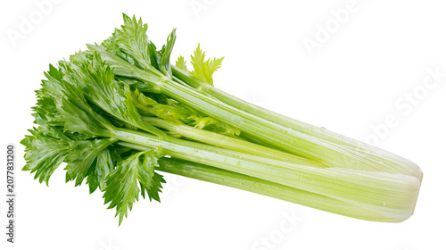 Canvastavla Fresh green celery stalks with leaves