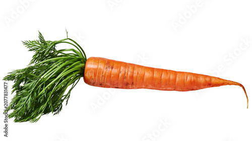 Foto Fresh orange carrot with green leafy tops