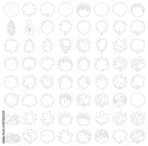 Minimalist tree crown top view icons, set of 64 architectural landscape symbols. Outline garden plant silhouettes for site plan mapping and masterplan design.