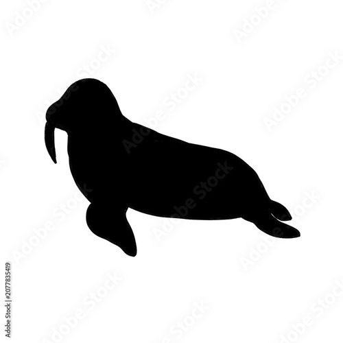 セイウチのシルエット
