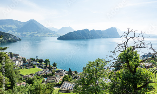 Tableau sur toile Lake lucerne and swiss alps from vitznau village