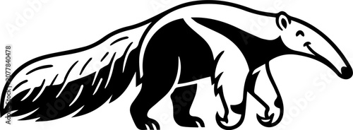 Photography anteater