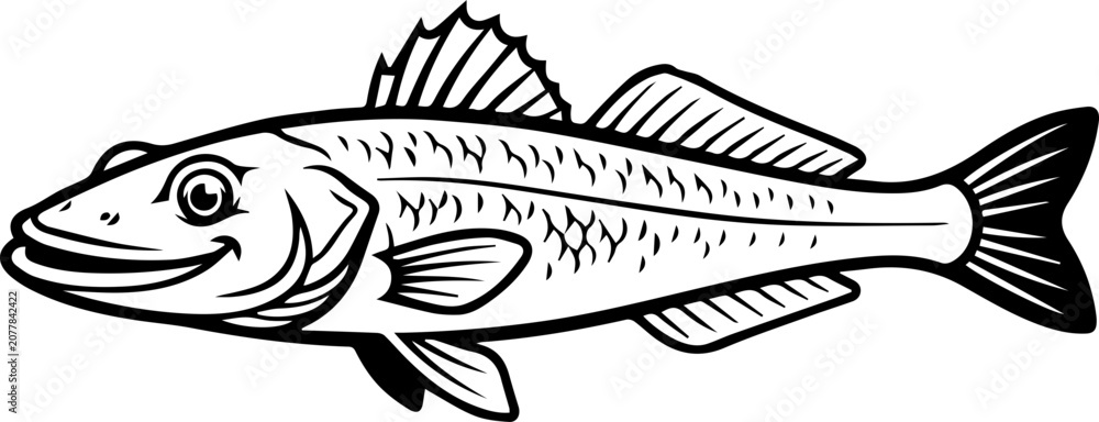 Fototapeta premium fish isolated on white background