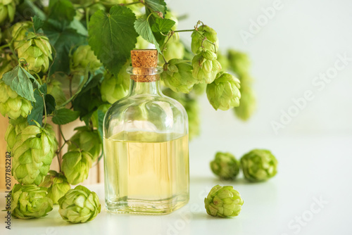 Foto Hops cones and essential oil in glass bottle