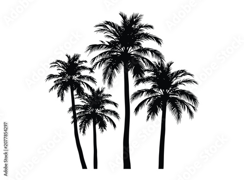 Palm vector illustration cluster featuring four tall trees
