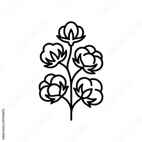фотографія Black line drawing of cotton flowers.