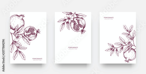 Elegant Pomegranate Branch Card Set. Hand Drawn Botanical Ink Vector Illustration for Food Menu, Brochure, Cover, Packaging and Template Design